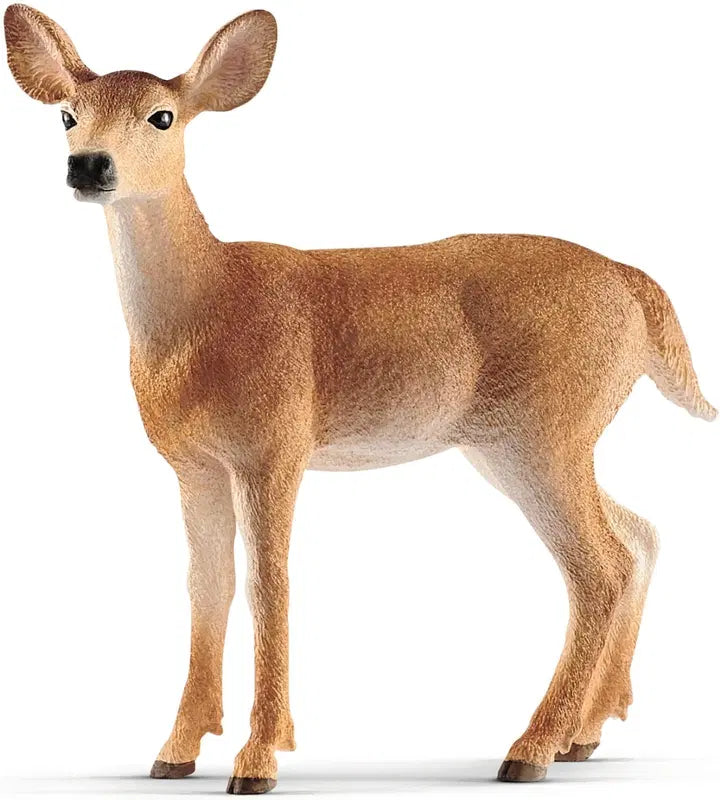Schleich 雌性白尾鹿｜schleich® Naarasvalkohäntäpeura