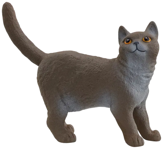 Schleich 英国短毛猫