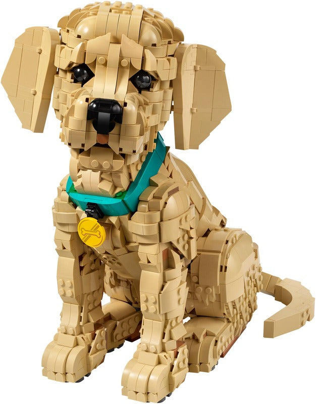 LEGO 图标系列 11384 金毛寻回犬幼犬｜LEGO® Icons 11384 Kultaisen noutajan pentu