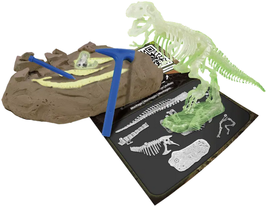 Toyrock Science4You T-Rex夜光恐龙