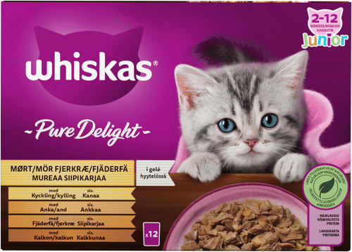 Whiskas Junior Pure Delight 伟嘉 嫩鸡肉冻 (12 x 85 克)