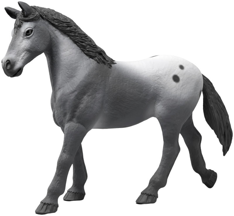 Schleich 丽莎的锦标赛训练｜Schleich Lisan turnajaisharjoitukset