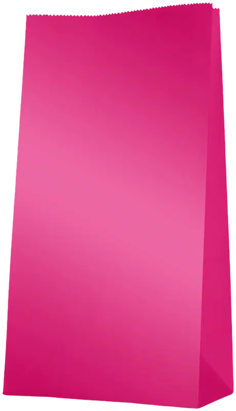 Lahjapussi pinkki 12 kpl pussin koko 23,5*13*6 cm