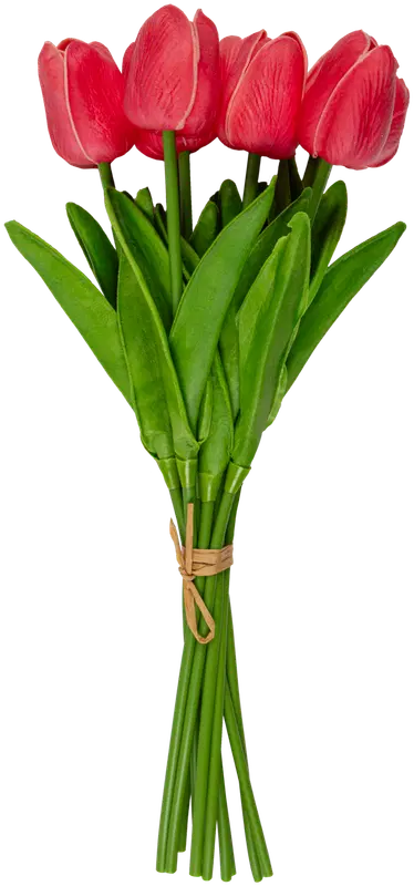 Ei merkkiä 粉色郁金香花束10支