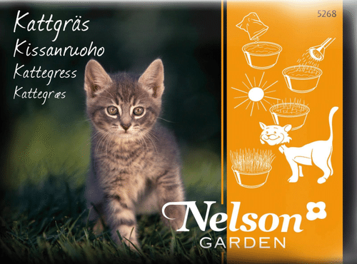 Nelson Garden 种子猫草