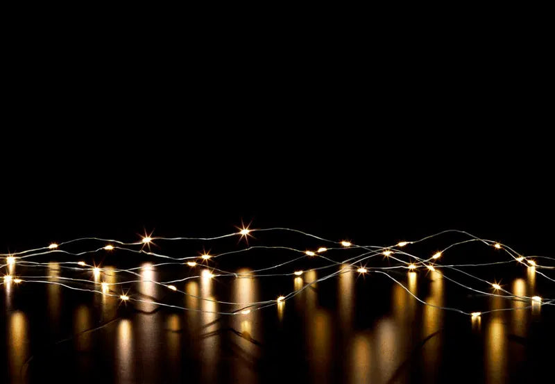 House 室内灯串 微100LED IP20