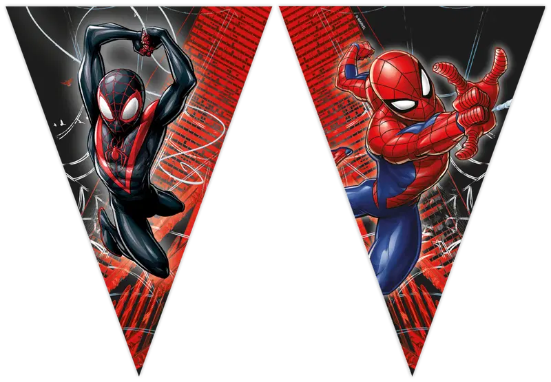 Decorata Party 蜘蛛侠三角旗｜Decorata Party viirinauha Spider-Man