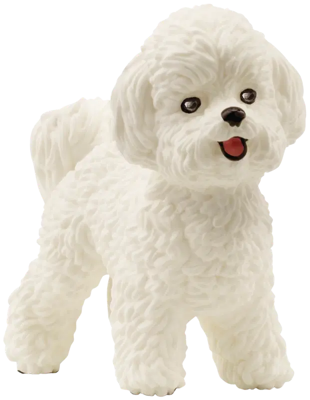 Schleich 比熊犬｜Schleich Bichon Frisé