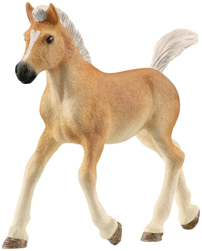 Schleich 哈夫林格小马｜Schleich Haflinger varsa