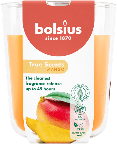 Bolsius True Scents – 玻璃杯香薰蜡烛 – 芒果 – 橙色 – 大号｜Bolsius True Scents – tuoksukynttilä lasissa – Mango – oranssi – suuri