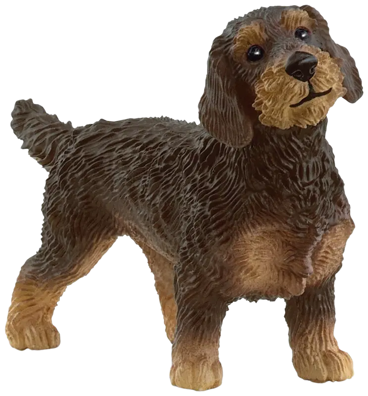 Schleich 粗毛腊肠犬｜schleich® Karkeakarvainen Mäyräkoira