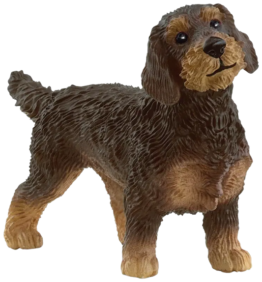 Schleich 粗毛腊肠犬｜schleich® Karkeakarvainen Mäyräkoira