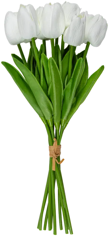 Ei merkkiä 白色郁金香花束10支