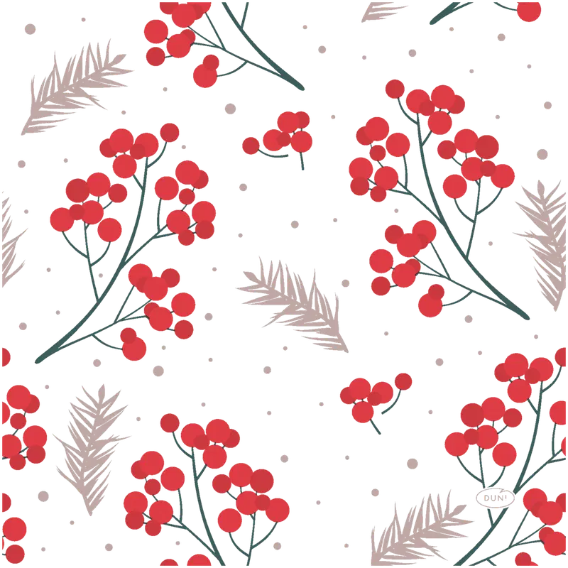 Duni Berrie Merrie餐巾纸 33x33cm 三层 20kpl｜DUNI lautasliina Berrie Merrie 33 x 33cm 3-krs 20kpl