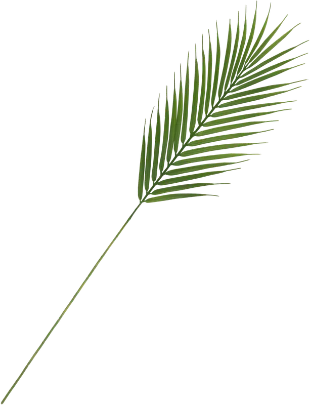 NNX 人造枝条 蕨类 38 cm