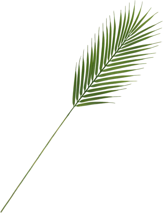 NNX 人造枝条 蕨类 38 cm