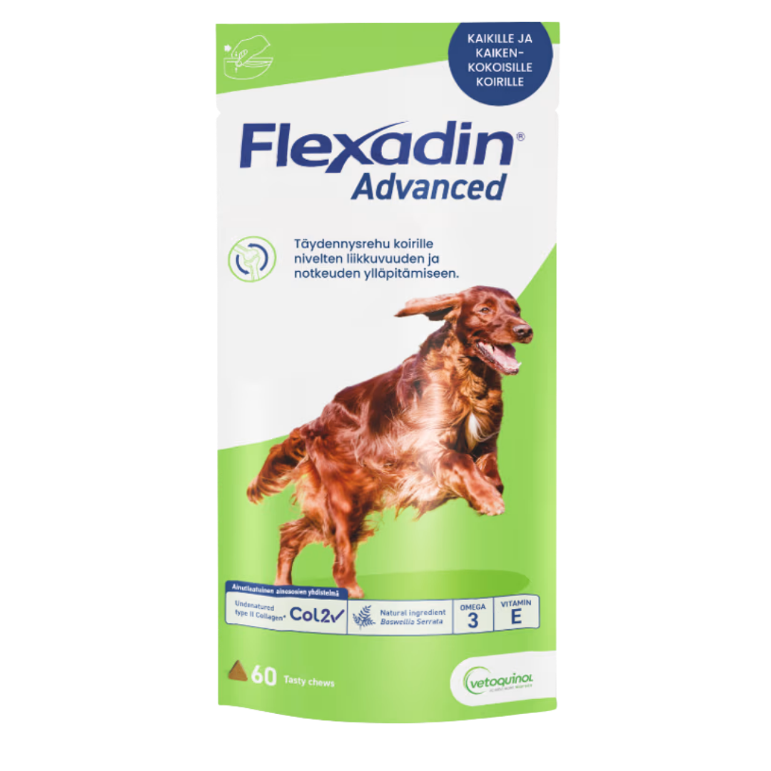 Flexadin Advanced 60 purutablettia koirille｜Flexadin 高级犬用片剂 60片