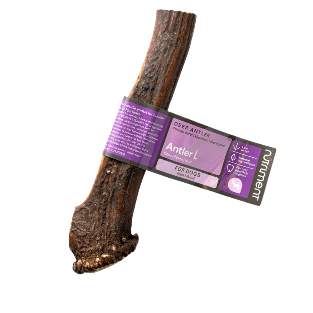 Nutriment Antler Peuransarvi koko L｜Nutriment 鹿角 L号