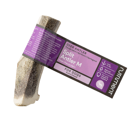 Nutriment Antler 鹿角 M号（对半切）