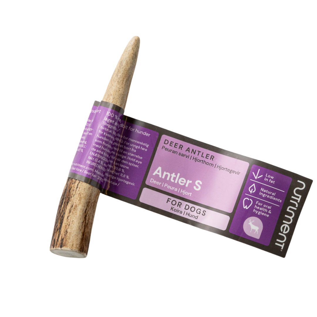 Nutriment Antler Peuransarvi koko S｜Nutriment 鹿角 S号
