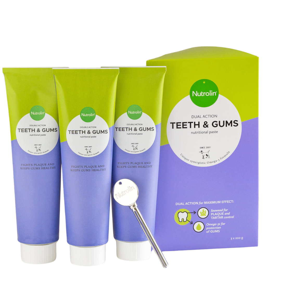 Nutrolin Teeth & Gums -tahna SÄÄSTÖPAKKUS 600 g｜Nutrolin 牙齿与牙龈护理膏 优惠套装 600 g