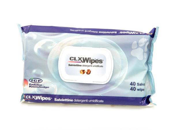 CLX Wipes Pocket - Kosteat puhdistuspyyhkeet 20 kpl｜CLX 便携式湿清洁巾 20 kpl