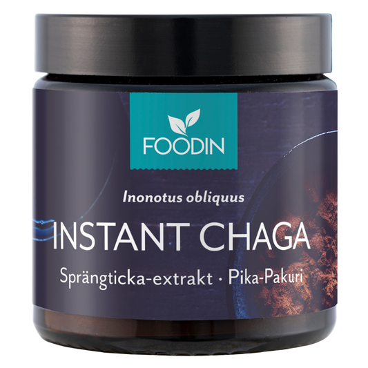 速溶白桦茸 40 g｜Foodin Pika-Pakuri - Instant Chaga 40 g