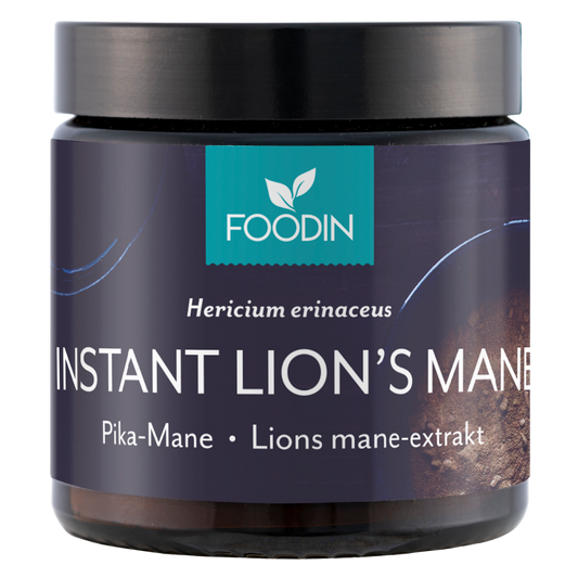 Foodin 速溶猴头菇粉 40 g｜Foodin Pika-Mane 40 g