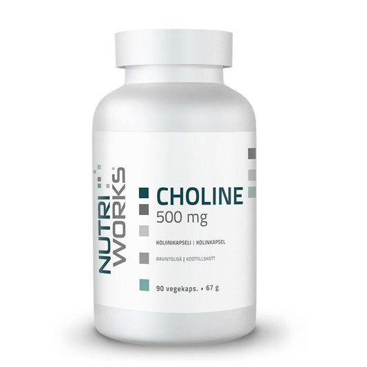 胆碱500毫克，90粒｜Nutri Works Choline 500 mg - Koliini 90 kaps.