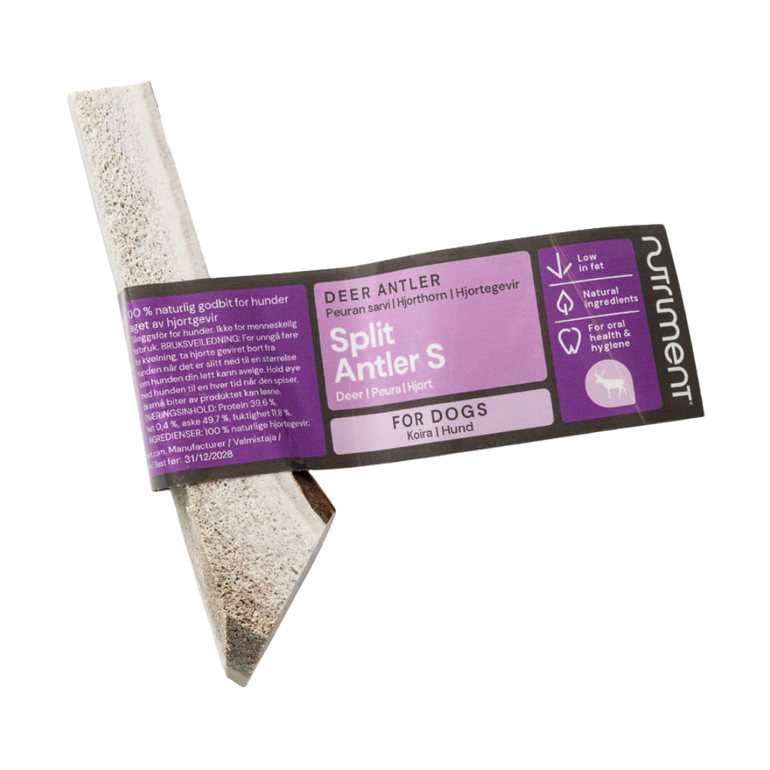Nutriment Antler Peuransarvi koko S (halkaistu)｜Nutriment 鹿角 S号（剖开）