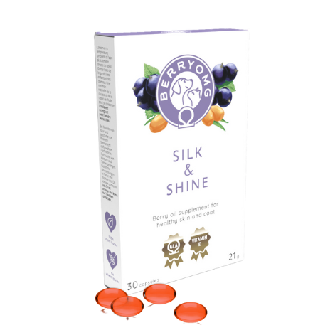 BerryOMG Silk & Shine 30 kaps.｜BerryOMG 丝滑光泽胶囊 30粒