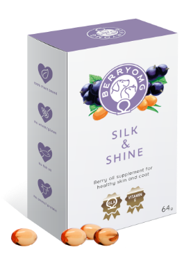 BerryOMG Silk & Shine 90 kaps.｜BerryOMG 丝滑光泽胶囊 90粒