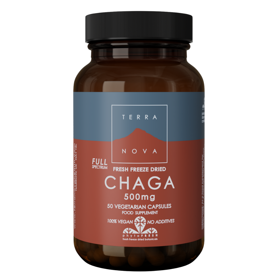 Terranova 桦褐孔菌全谱 500毫克 - 白桦茸 50粒｜Terranova Chaga Full Spectrum 500 mg - Pakurikääpä 50 kaps.